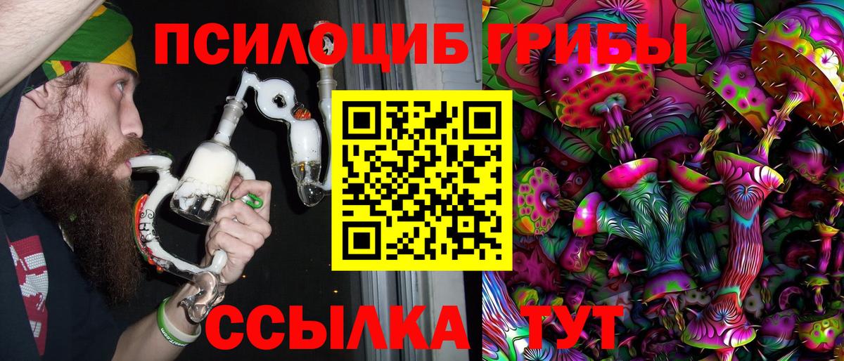 Гусев  Галлюциногенные грибы мицелий  Вход с VPN 