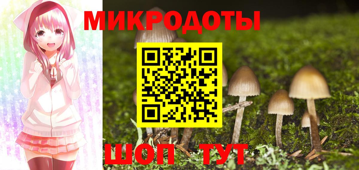 Галлюциногенные грибы мухоморы Гусев